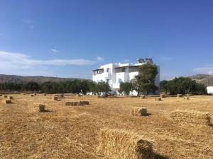 Bluefox Apartments Naxos Greece