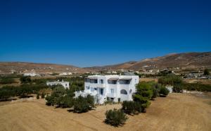 Bluefox Apartments Naxos Greece