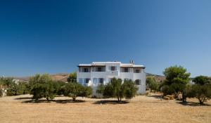 Bluefox Apartments Naxos Greece