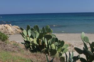 Residence Il Borgo di Porto Corallo img63