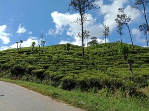 3Arch Eco Cottage Ella