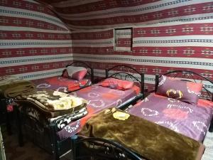 Candle light camp & tours