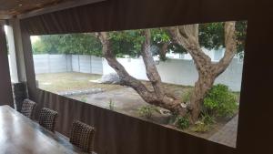 Angels Place by the Sea