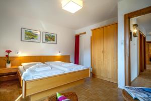 Chalet SONNECK Summer Card included