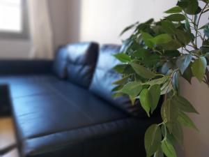 Del Parque Flats Central