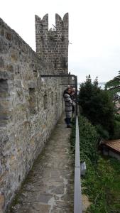 Apartments Lavanda Fiesa