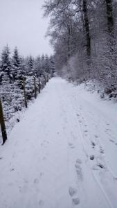 Ferienwohnung Müller