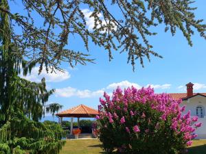 Holiday Apartment VILLA BIANCA