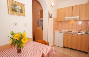 Apartment Anica