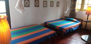 The Icebear Guesthouse