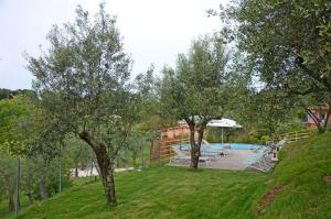 Le Donne di Bargecchia