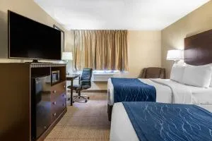 Comfort Inn Grand Rapids Airport - 格林维尔