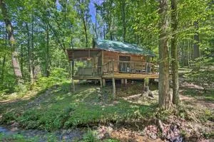 Creekside Cabin with Deck in Pisgah Forest! - Busick