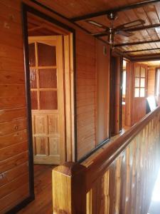 Białowieża Spanie na sianie Puszcza Białowieska