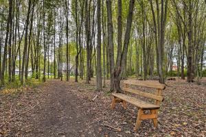 Unique Ovid Apt with Grill on Cayuga Wine Trail!