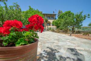 Casa Tsounis by "elite"