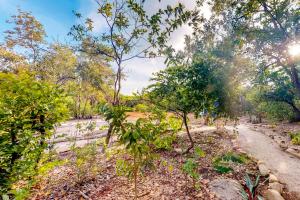 Inn The Trees Cabañas