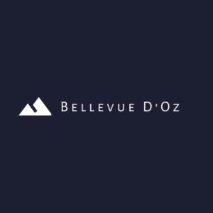 Appartements *NEW* Bellevue D’Oz Ski In Ski Out Luxury Apartment (8-10 Guests) : photos des chambres