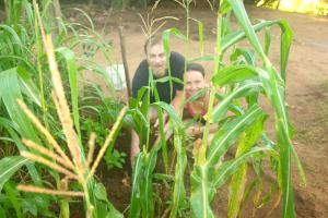 HOMESTAY CAMPING ANURADHAPURA