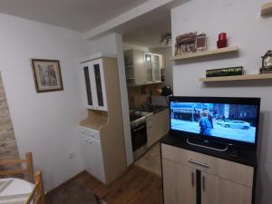 Apartment Lazic vila Suri