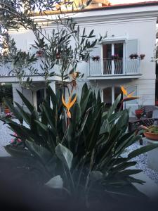 Guesthouse Villa Jung