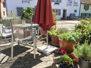 Apartament Idyllische Ferienwohnung am See Ermatingen Szwajcaria