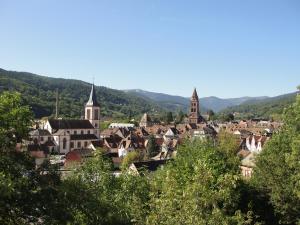 Appartements Les Gentianes : photos des chambres