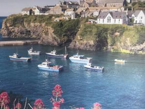 Appartement Bay House - Lundy. Port Isaac Dog Friendly Apartment with Sea Views Port Isaac Grossbritannien