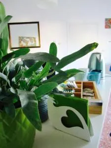 Le stanze di Ninni - SantʼEraclio