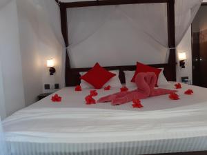 Turtle Reef Guest