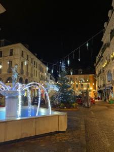Cote Ouest Aix Les Bains photo 9