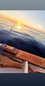 Lampi's Dolphin Patmos Greece
