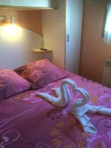 Les Jardins du castel gites Annick et Jean paul - Moidieu-Détourbe