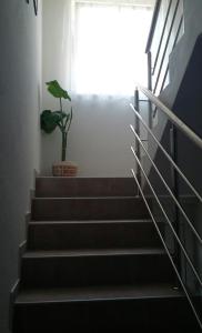 Apartman Monika Vodice