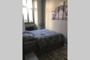 Appartements Le Bouvier Vesulien : photos des chambres