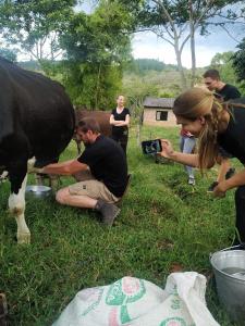 Green Hostal Popayan