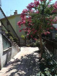 Alloggio turistico La nuova Velzna