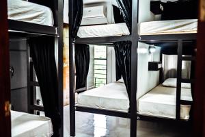 Island Brasserie Hostel