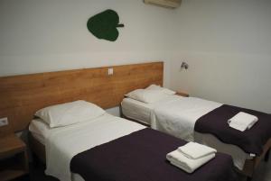 Budget Double or Twin Room room in Hotel Fala