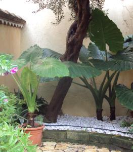 B&B Dimora Degli Ulivi img31