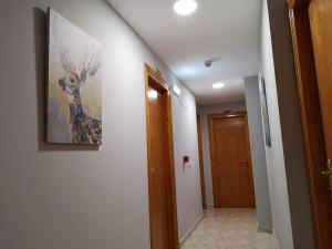 Double or Twin Room room in Ciudad de Jaca