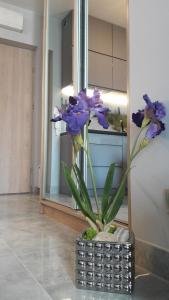 Wyspa Uznam - Rondo Róży Wiatrów