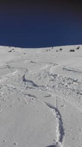 Ferienwohnung Wohlfahrter