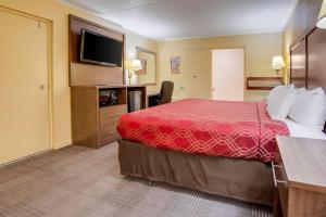 King Room - Non-Smoking room in Econo Lodge Lenoir City