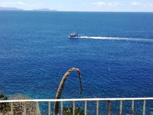 See to Sea - Reis Magos