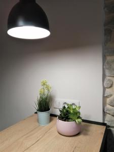 Le Petit Studio - 15 m2 - Centre Ville - Sorgue à 50 m