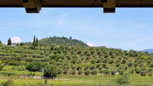 Borgo Romantico Green Relais