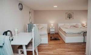 Shkodra apartment with amazing view in the city center