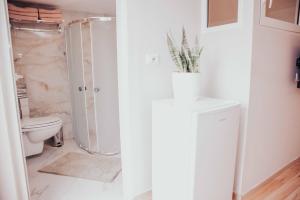 Shkodra apartment with amazing view in the city center