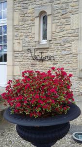 B&B / Chambres d'hotes Victoria Arromanches B&B : photos des chambres